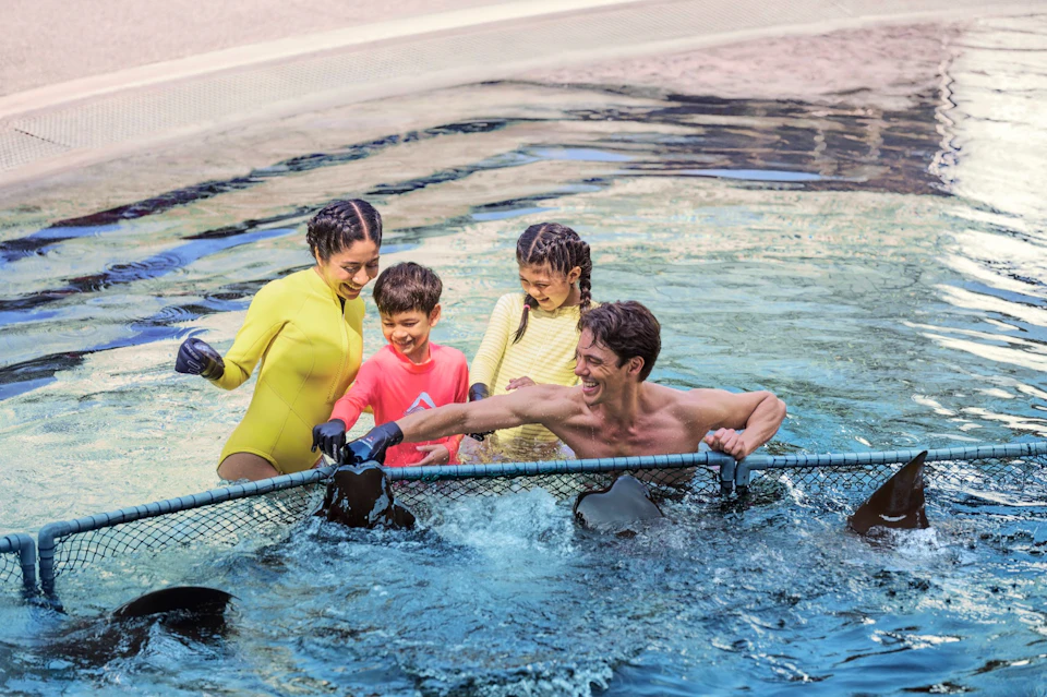 A group of people interacting with aquatic animals in a water enclosure, smiling and appearing to enjoy the experience.