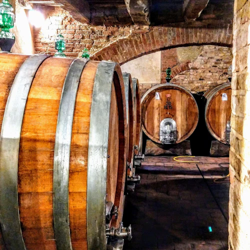 Montalcino: Visita guiada aos vinhedos + degustação de vinhos no castelo - Photo 3