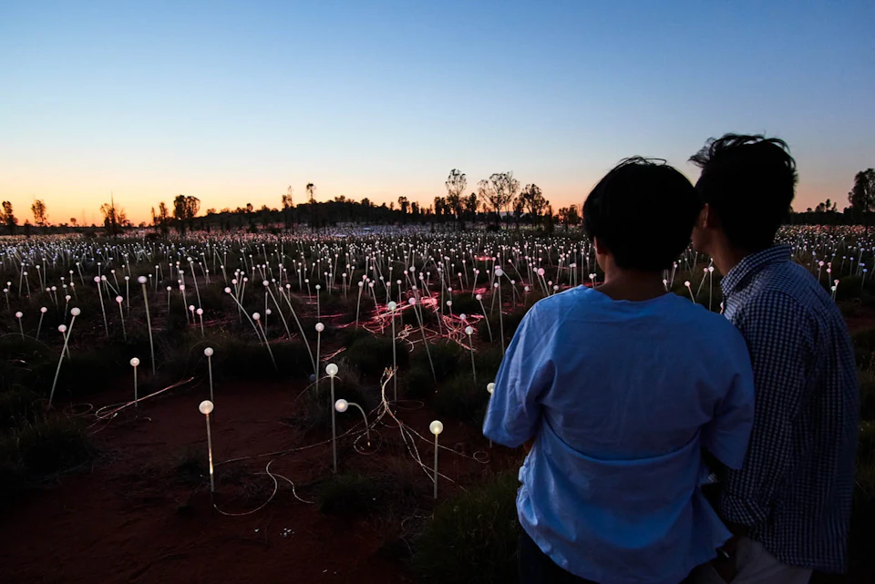 Two people stand in front of a field of illuminated light bulbs on poles at dusk, with sparse trees in the background.