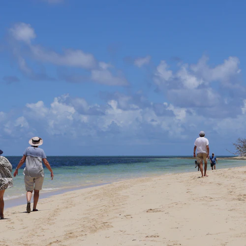 Walk, Sail and Snorkel: Great Barrier Reef & Green Island Tour from Cairns - Photo 9