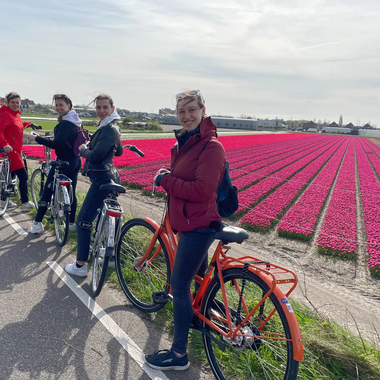 Amsterdam: Guided Tulip Fields Bike Tour