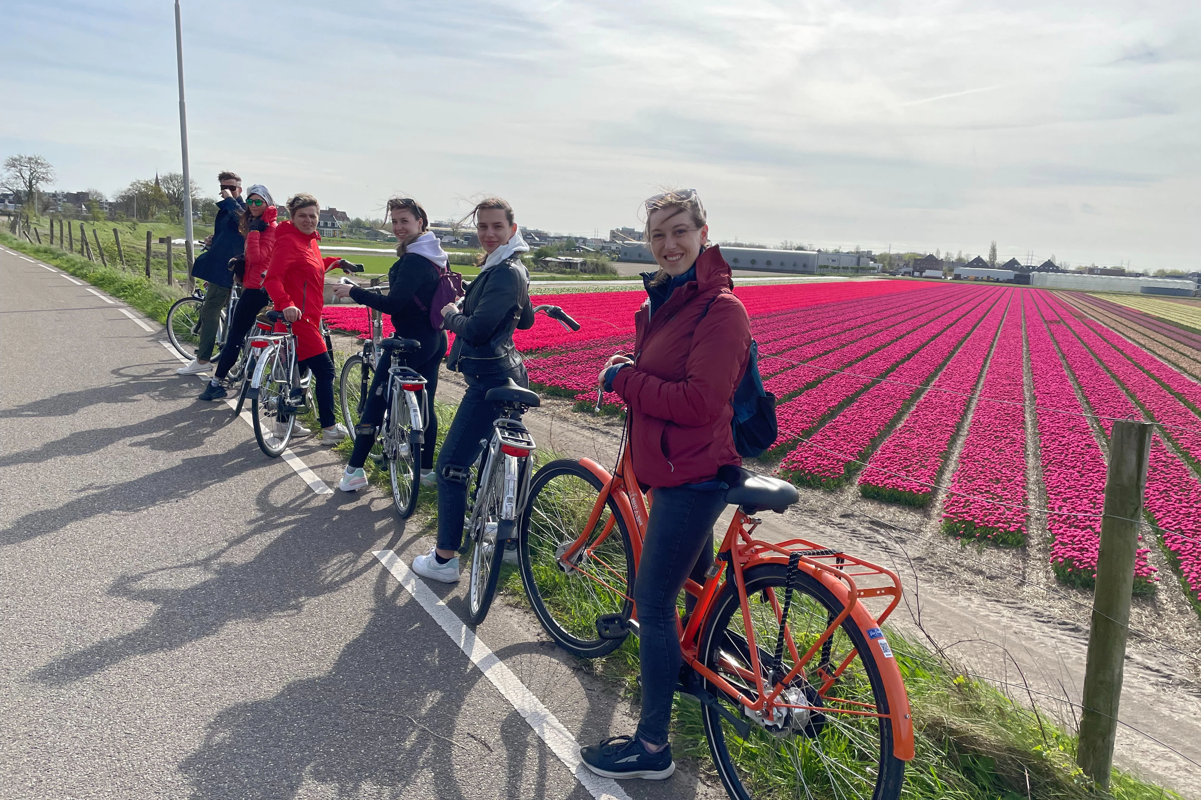 Amsterdam: Guided Tulip Fields Bike Tour