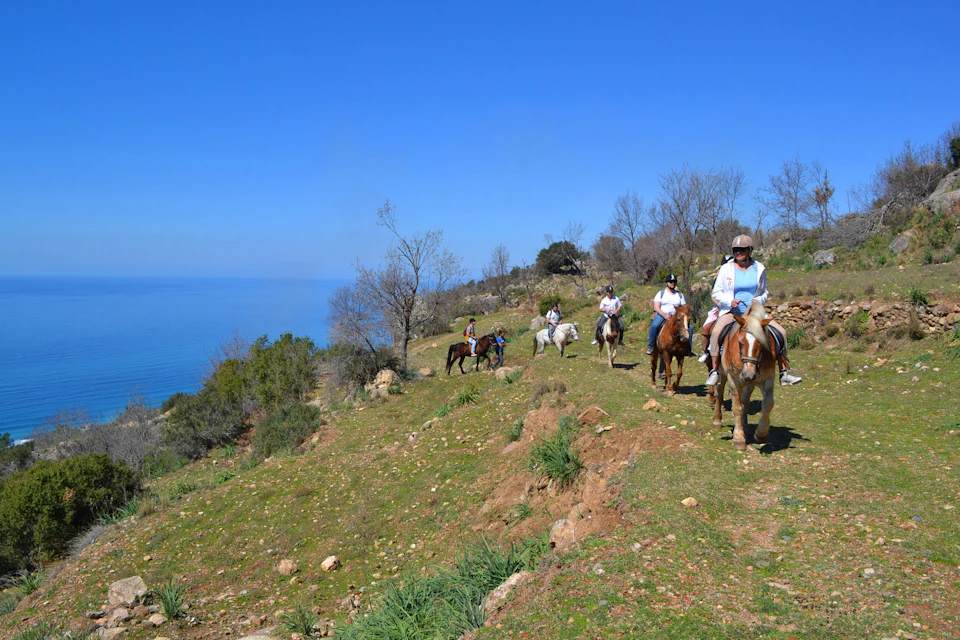 Horse riding