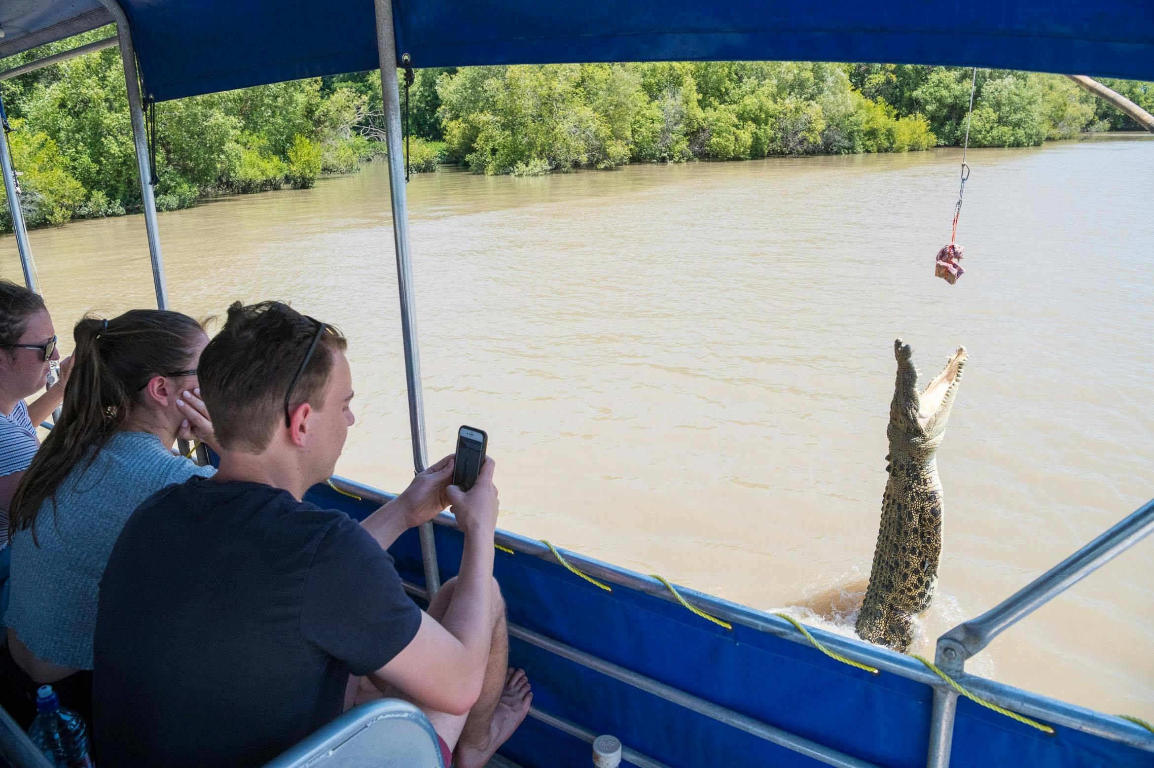Passengers watching a saltwater crocodile rising from the water