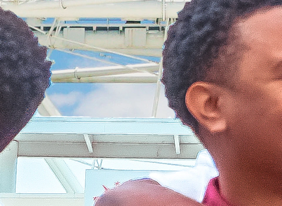 A smiling family of four sits on grass with a Ferris wheel and palm trees in the background under a bright blue sky.