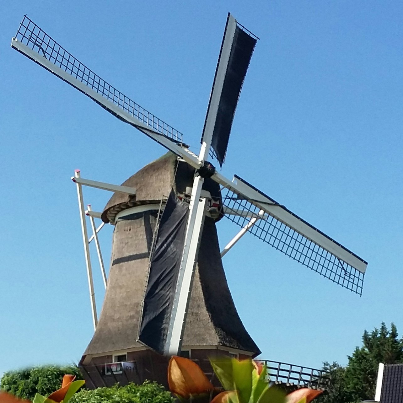 Moinho de vento de Amsterdã Sloten - Acomodações em Amesterdão