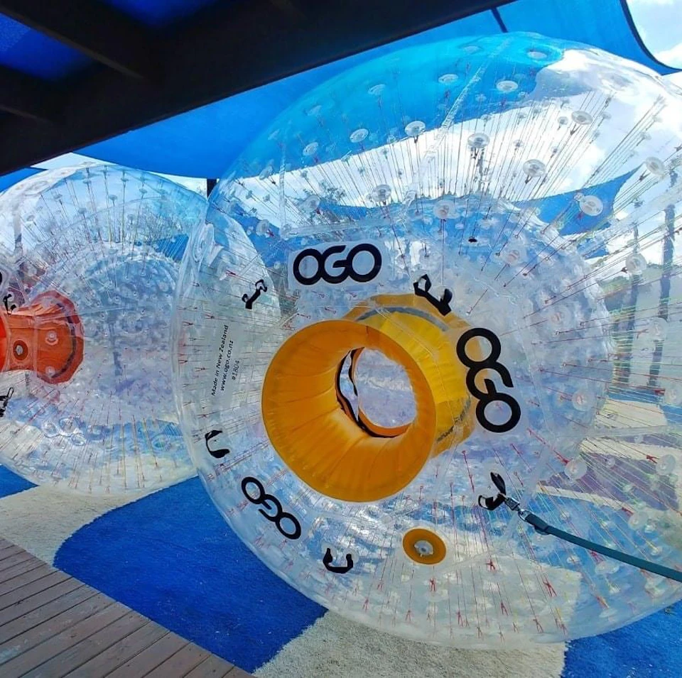Two large transparent Zorb balls with blue and yellow inner sections under a blue canopy on a wooden platform.