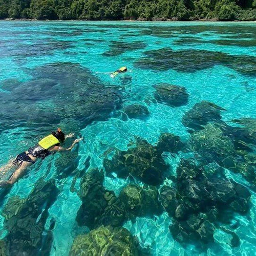 Phi Phi Islands & Maya Bay: Sunset Speedboat Tour + Plankton Snorkel