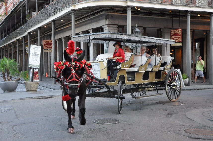French Quarter by Mule Drawn Carriage: 60-Minute Tour