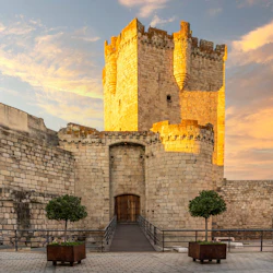 A stone castle with a tall square tower, surrounded by walls, a wooden door, and planters with trees in the foreground.