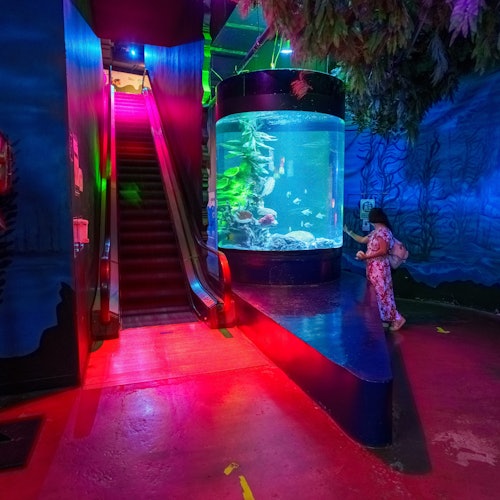 Inbursa Aquarium in Mexico City: Entrance Ticket