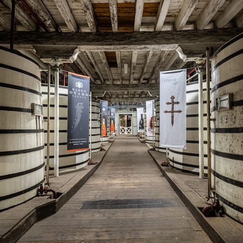 Château Royal de Cognac: Visita guiada + Degustación