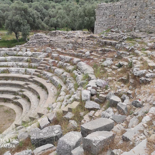 Halicarnassus: Half Day Walking Tour from Bodrum