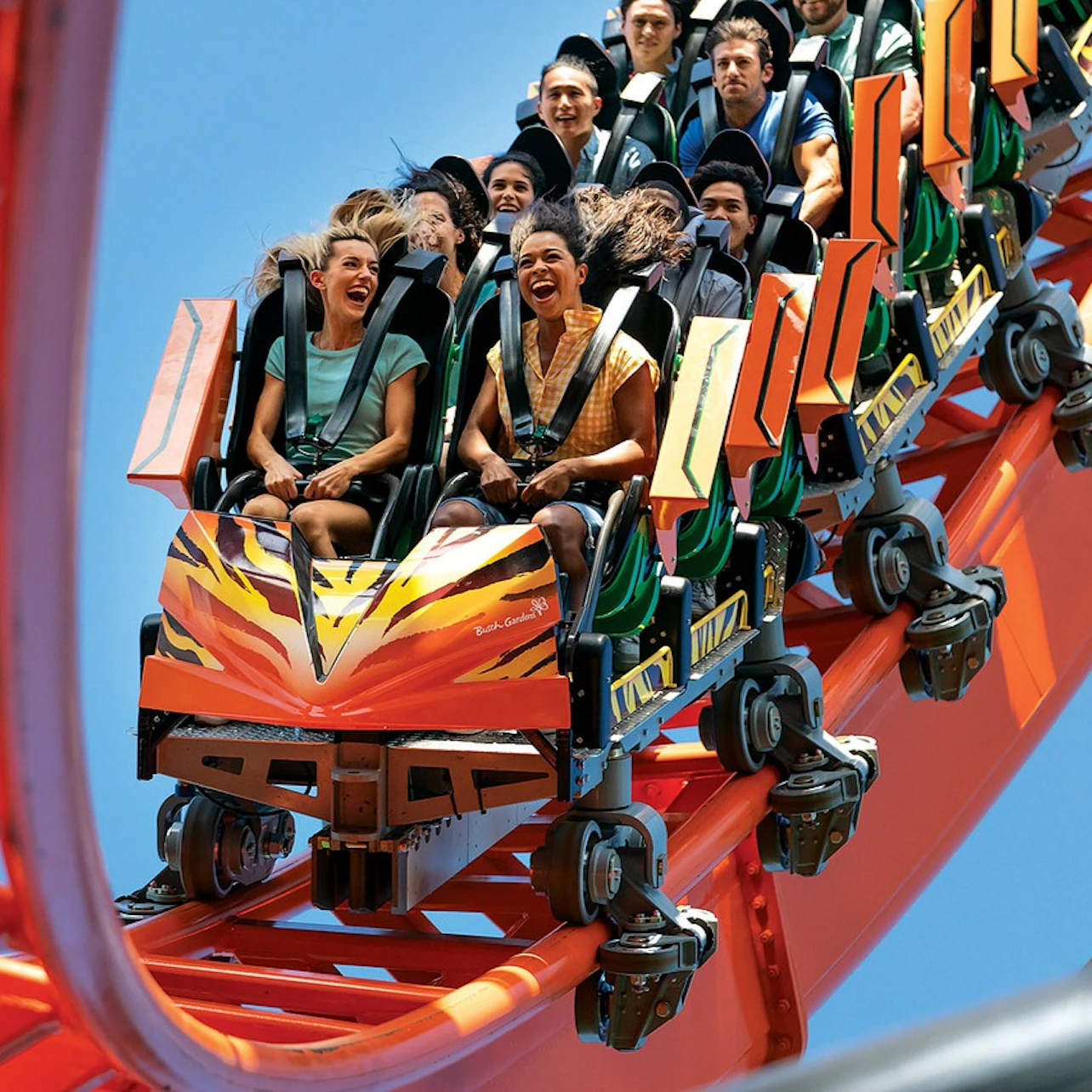 Slider Image