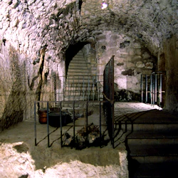 Butti basement