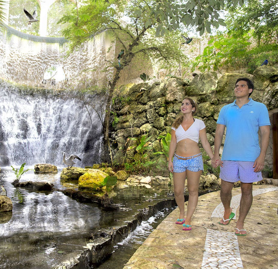 一对夫妇牵着手沿着瀑布旁的小路散步，周围环绕着郁郁葱葱的绿色植物和岩层。