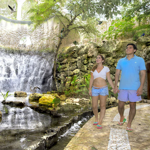 Parque Xcaret: bilhete de entrada + transporte - Photo 5