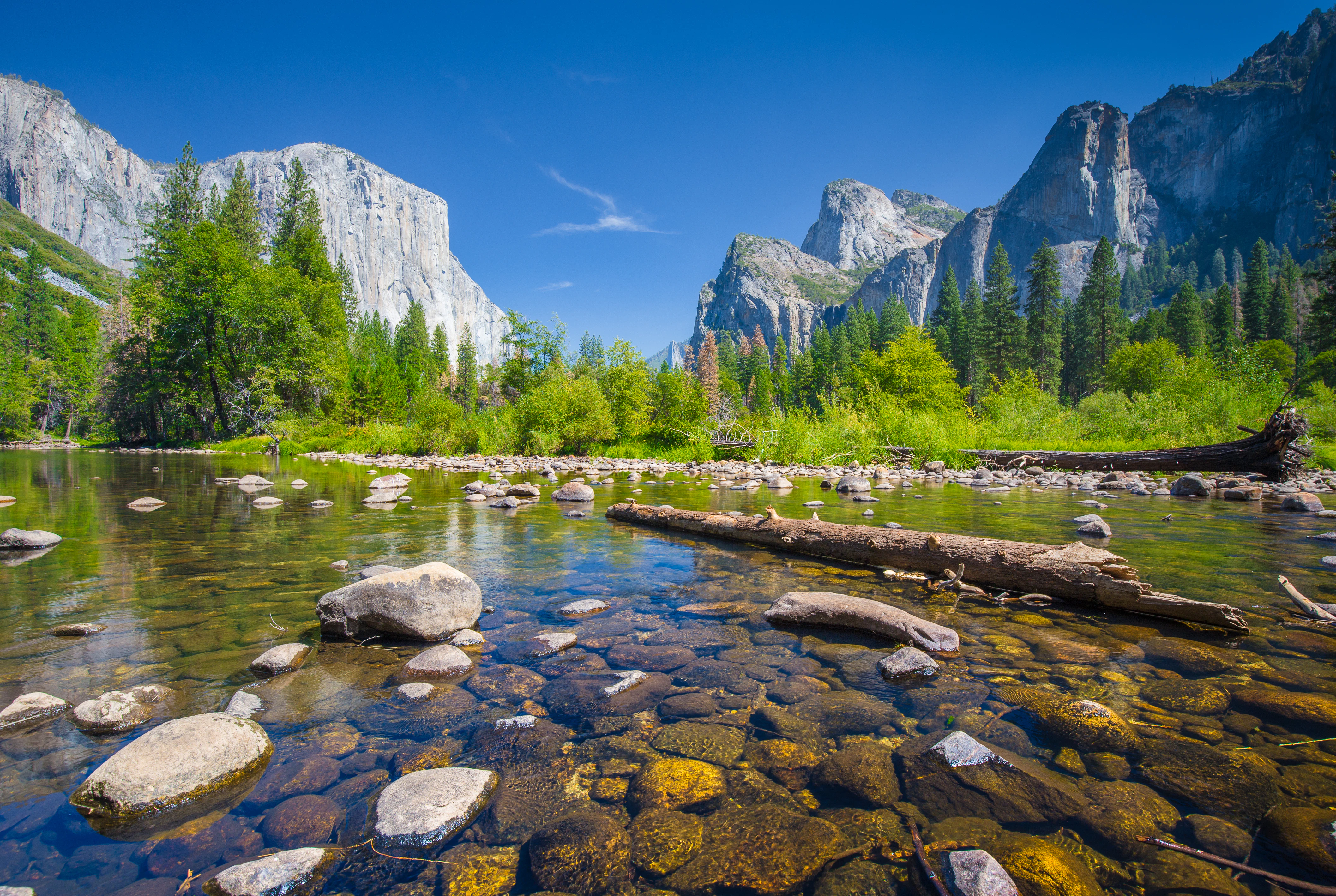 From San Francisco: Full Day Yosemite Experience with Entrance and Guided Tour