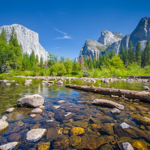 From San Francisco: Full Day Yosemite Experience with Entrance and Guided Tour