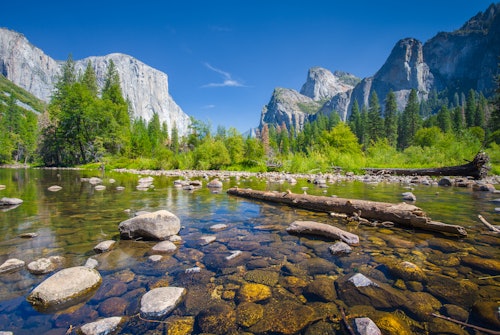 From San Francisco: Full Day Yosemite Experience with Entrance and Guided Tour