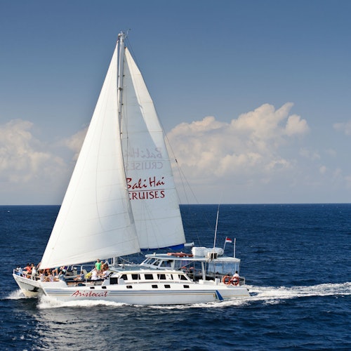 Aristocat Bali Sailing Cruise