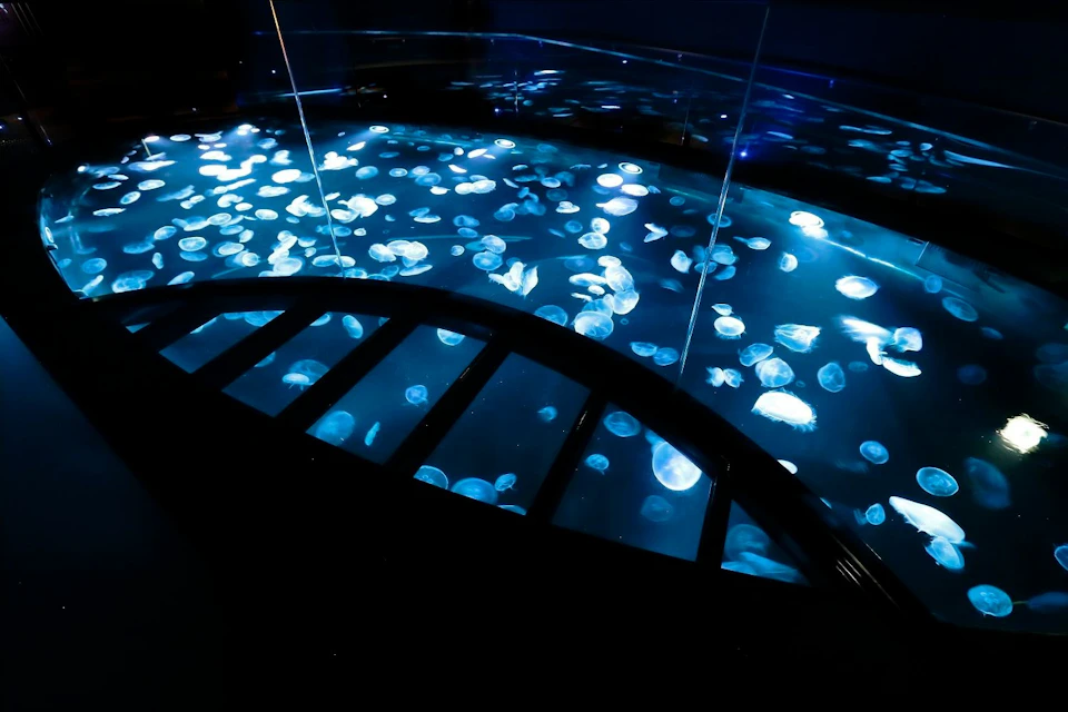Sumida Aquarium