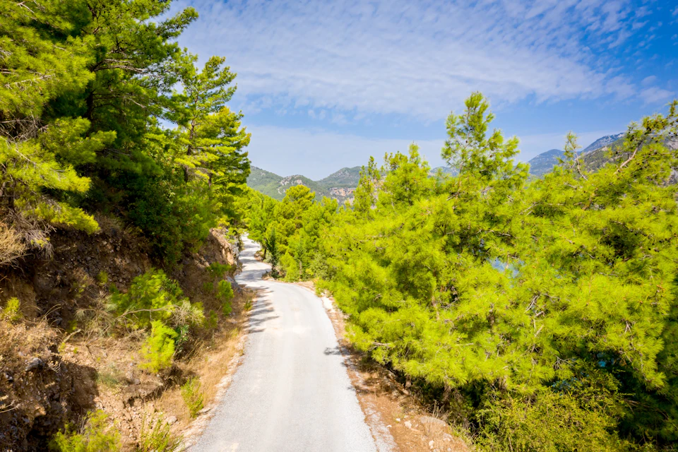 An overview of the nature