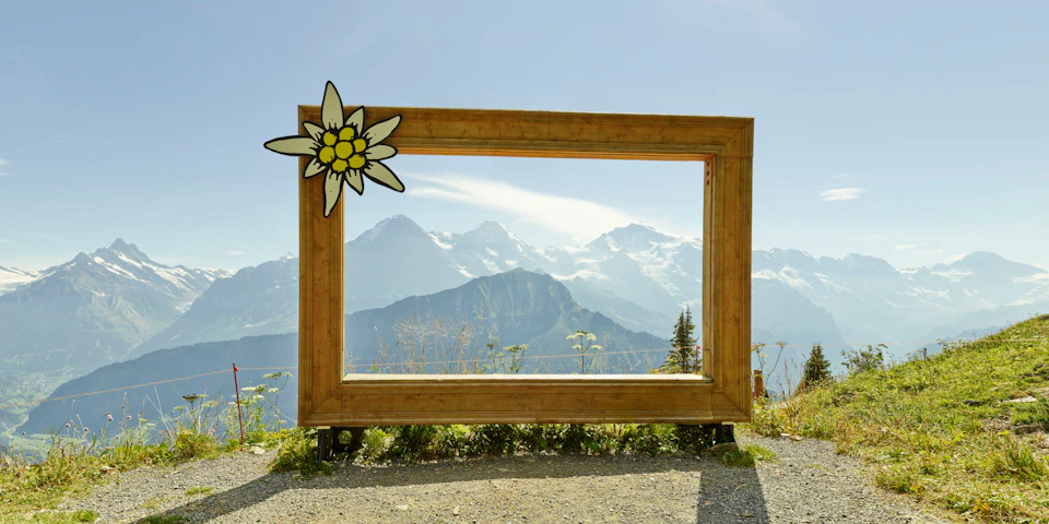 Schynige Platte