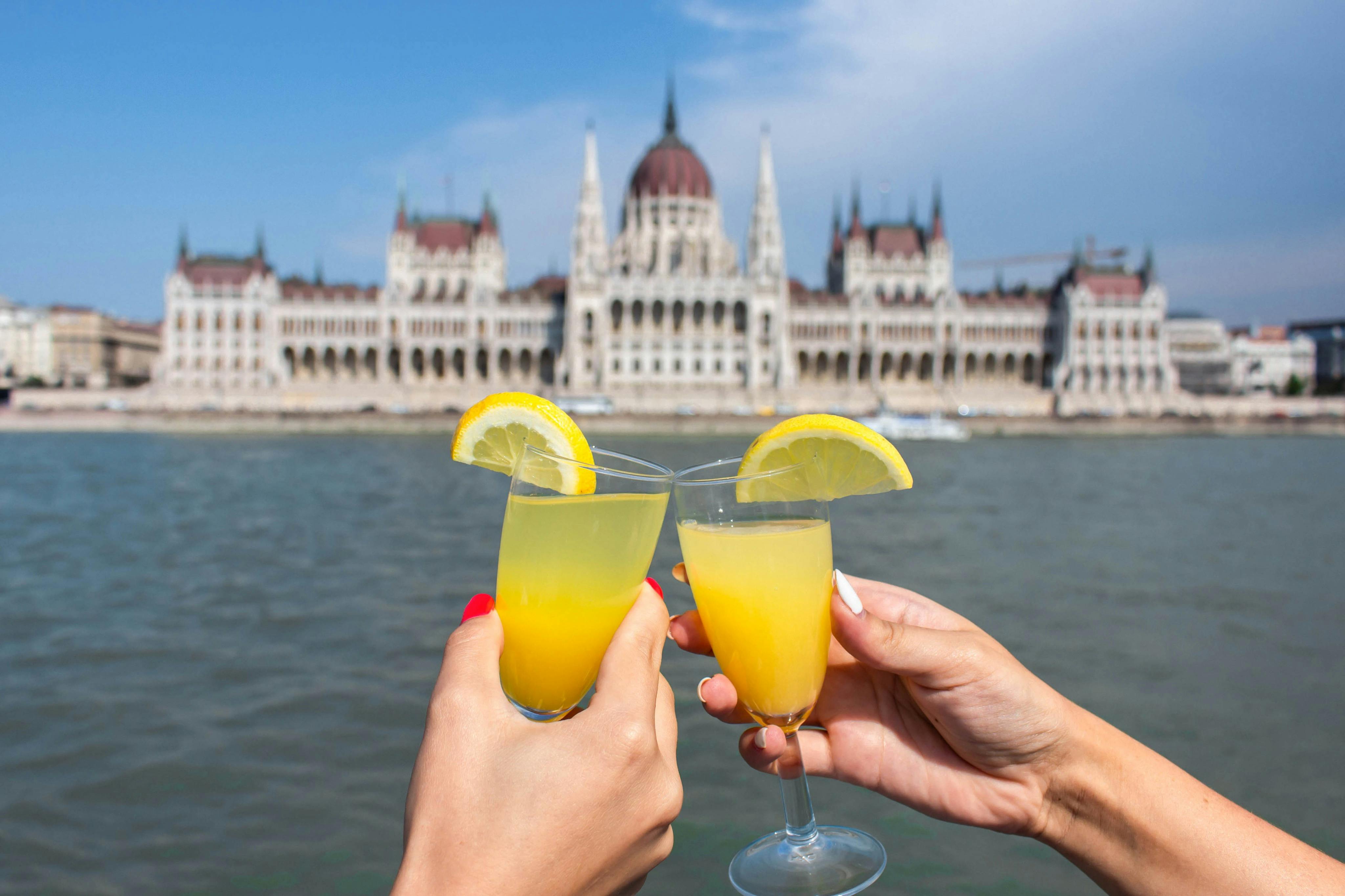 Budapest: Danube River Daytime Sightseeing Cruise + Audio Guide + Drinks in Budapest – Tiqets