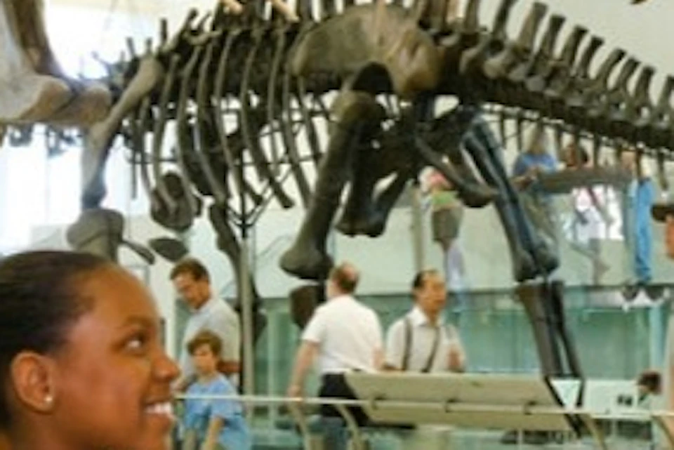 New York Pass: Choose from 3 Top Attractions