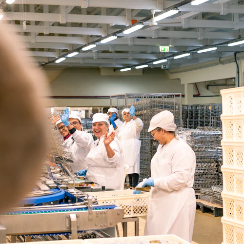 Conservas Pinhais Factory: Guided Tour in English - Photo 2