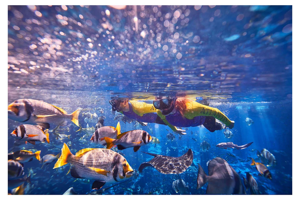 Atlantis The Palm - Snorkel