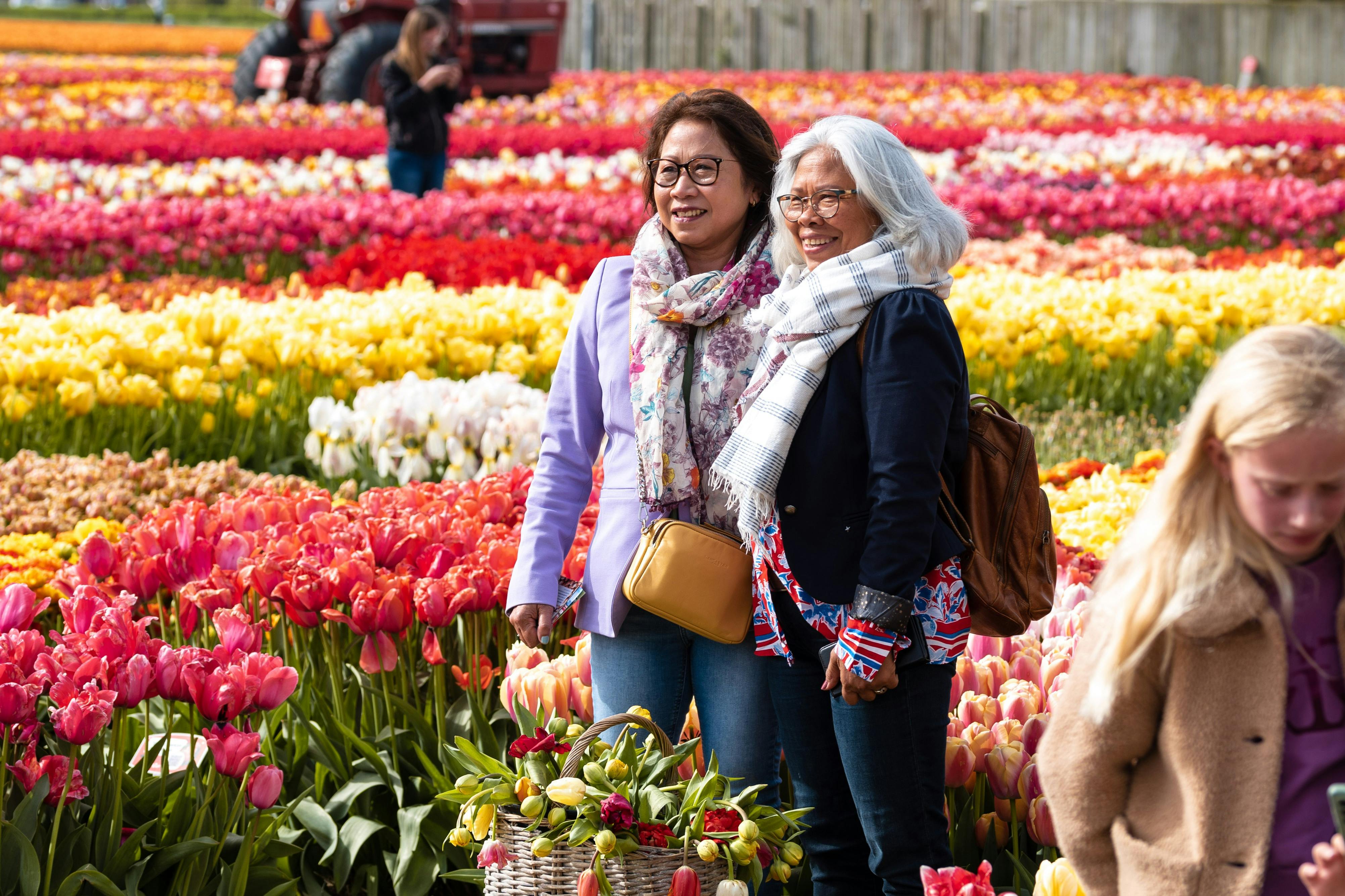 Posing in tulip field