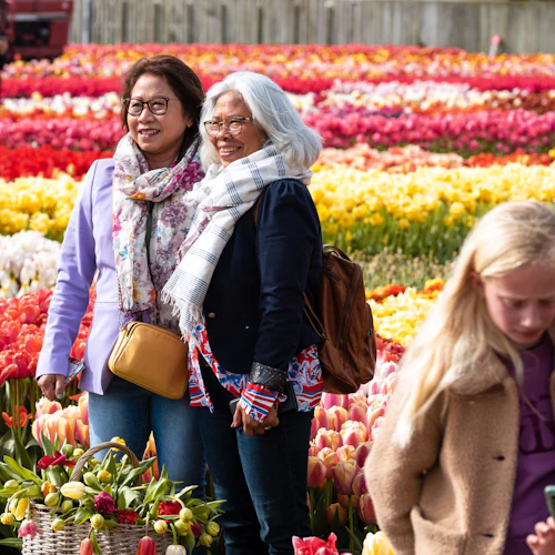 Tulip Experience Amsterdam: bilhete de entrada + Audioguia opcional - Photo 17