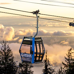 Grouse Mountain & Capilano Suspension Bridge Park: Guided Tour