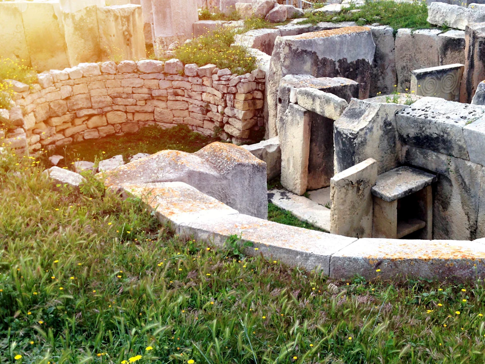 Ancient stone ruins with circular walls and large slabs surrounded by grass and small yellow flowers.