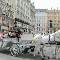 Hofburg Palace & Sisi Museum: Guided Tour 5