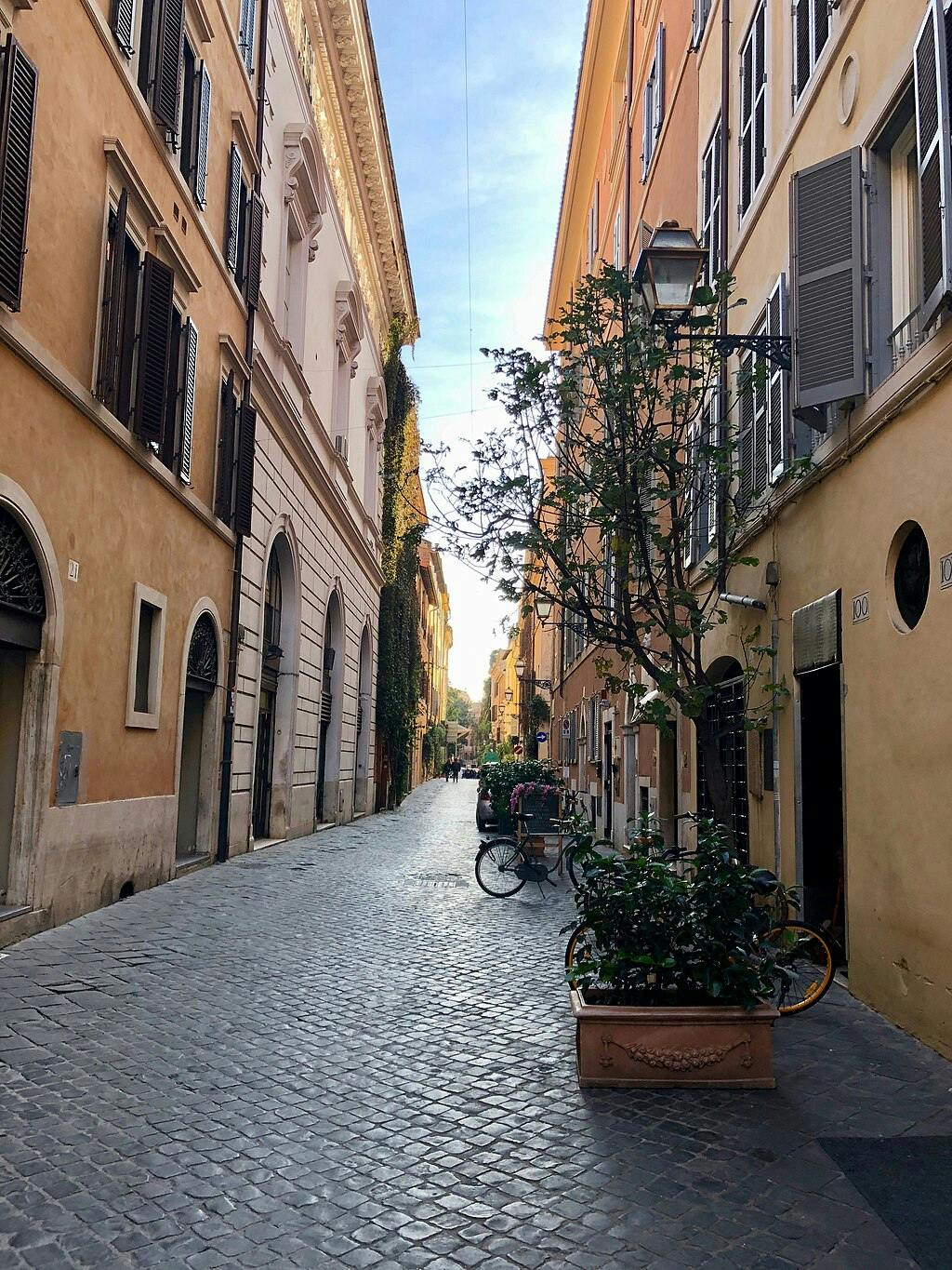 Una stretta strada di ciottoli tra alti edifici con finestre chiuse, una bicicletta, fioriere e un albero sotto un cielo azzurro.