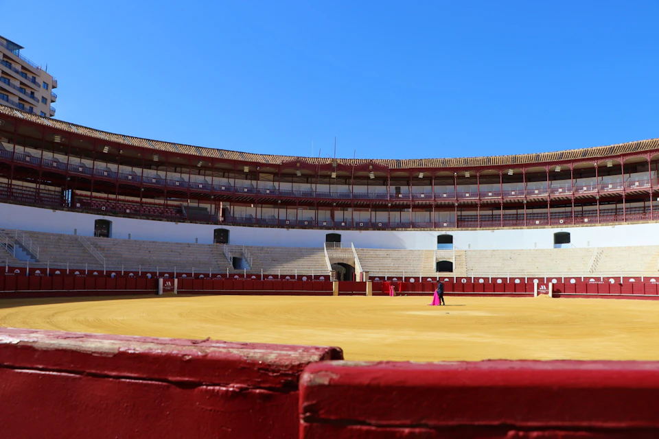 A person in pink clothing stands alone in the center of an empty bullfighting arena under a clear blue sky.