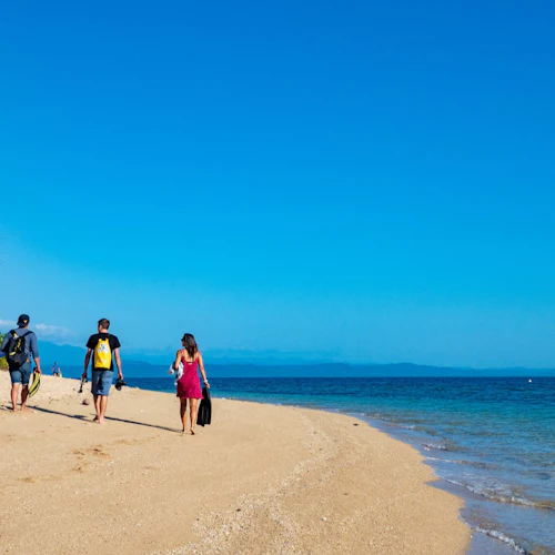 Low Isles: Guided Boat Tour from Port Douglas + Snorkelling + Tea - Photo 4