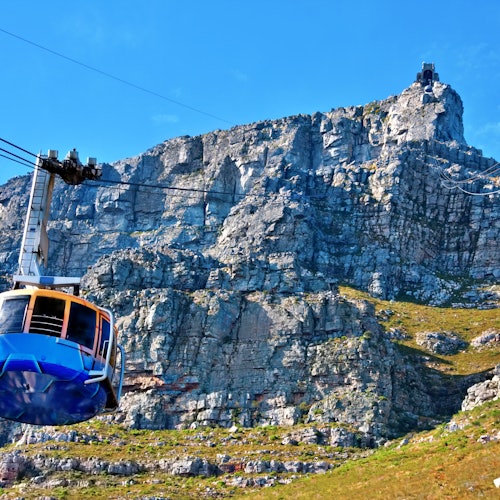 Bus turístico Ciudad del Cabo y Teleférico aéreo de Table Mountain