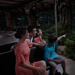 Singapore Night Safari: Entry Ticket + Roundtrip Transport 5