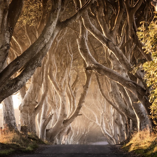 Game of Thrones Filming Locations: Roundtrip from Belfast