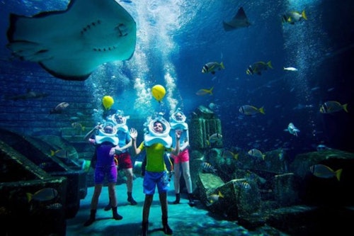 UAEドバイ ロストチェンバーズ水族館: 入場券（即日発券）