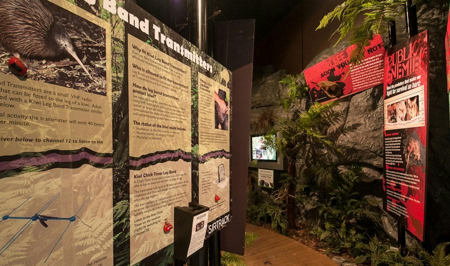 West Coast Wildlife Centre: VIP Backstage Pass + Kiwi & Tuatara Tours