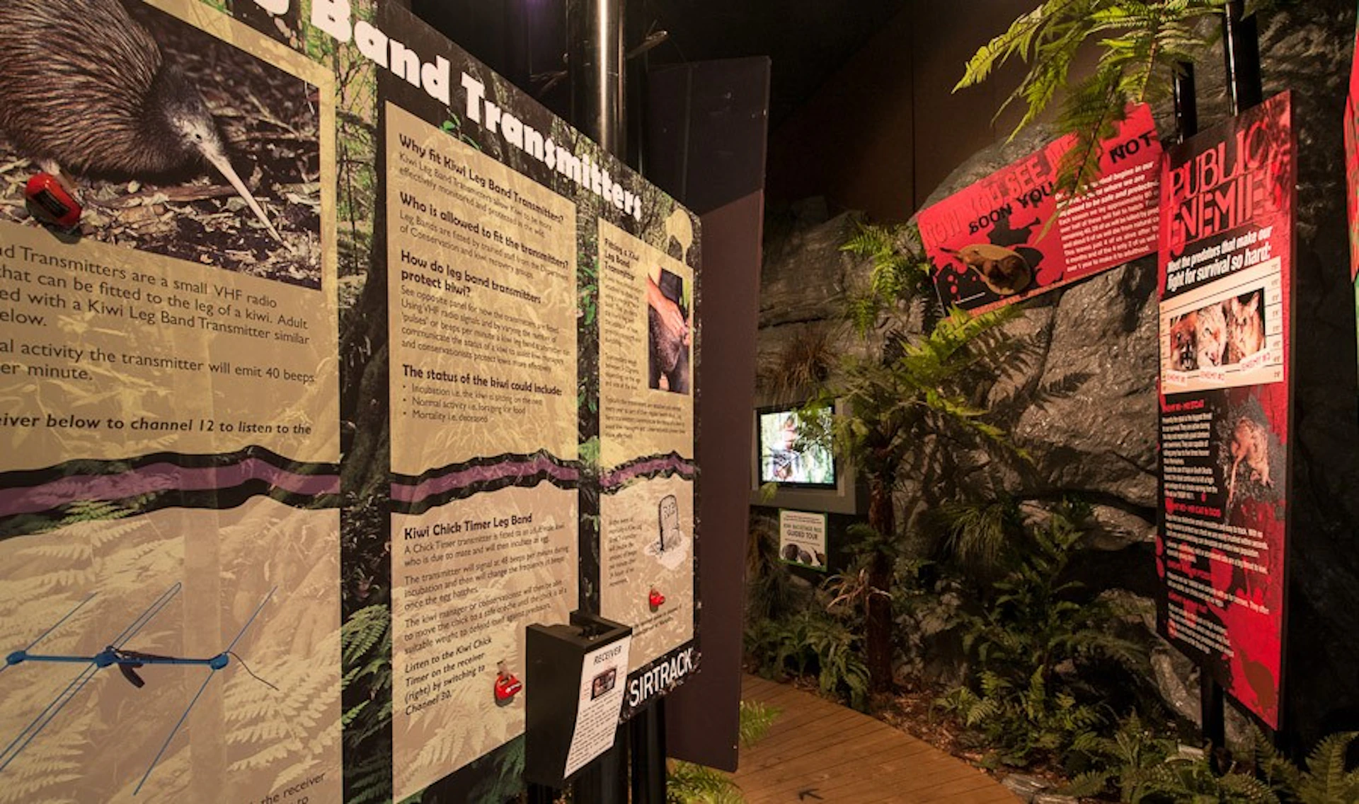 West Coast Wildlife Centre: VIP Backstage Pass + Kiwi & Tuatara Tours