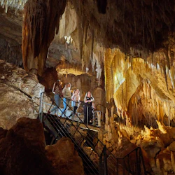 Fully guided tour
