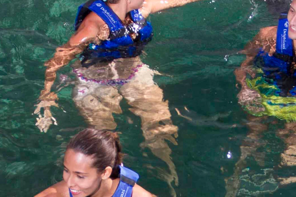 Five people wearing blue life vests interact with two dolphins in clear green water.