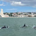 Near the Monument of the Discoveries, sighting of a group of 15 Dolphins.
