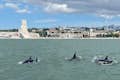 A prop del Monument dels Descobriments, avistament d'un grup de 15 dofins.